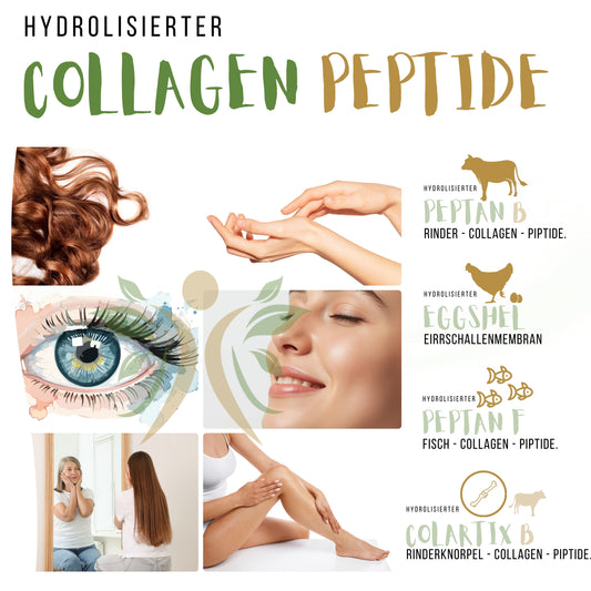 Multi Collagen Complex